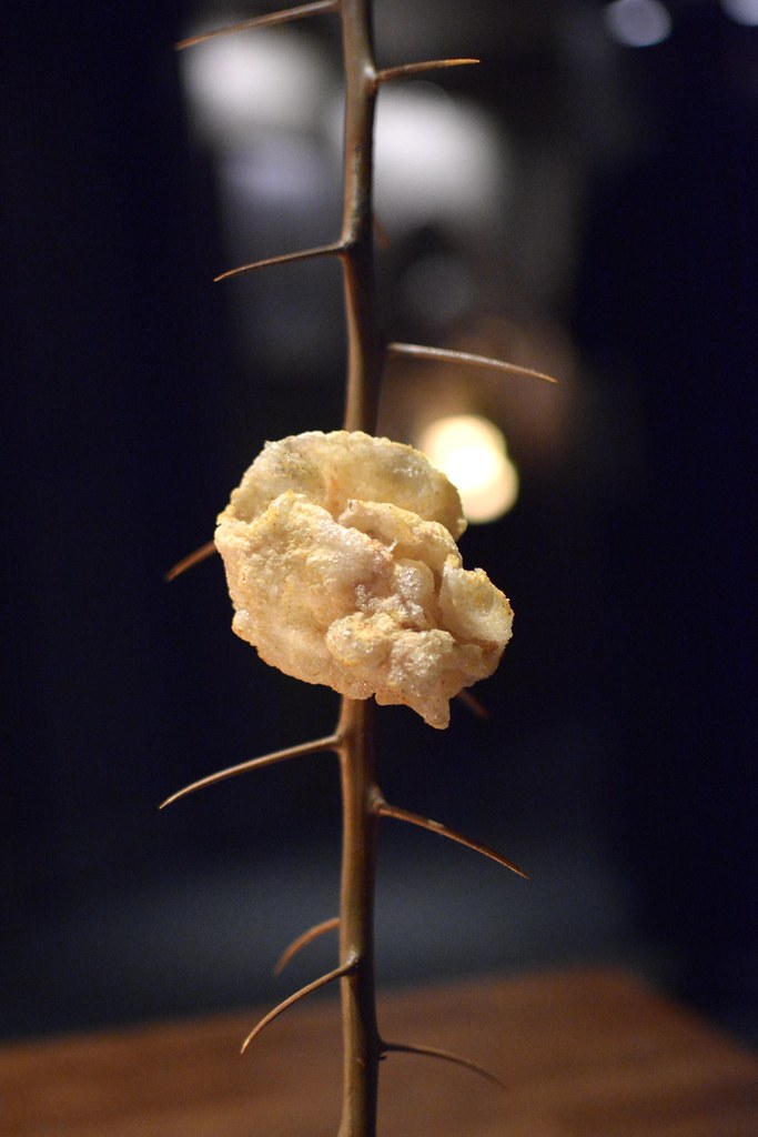 Puffed beef tendon served on a yuzu branch at Seline